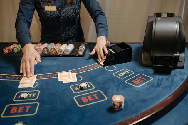 Laser247 App Live Match Betting What You Need to Know